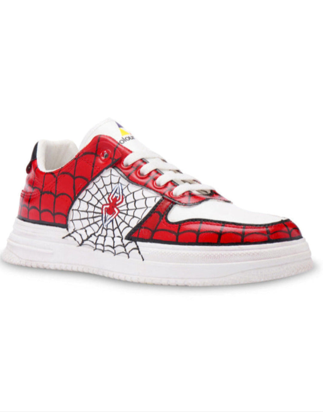 SPIDER WEB
